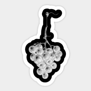 Bunch of blue grapes by Jean Bernard inversion Sticker